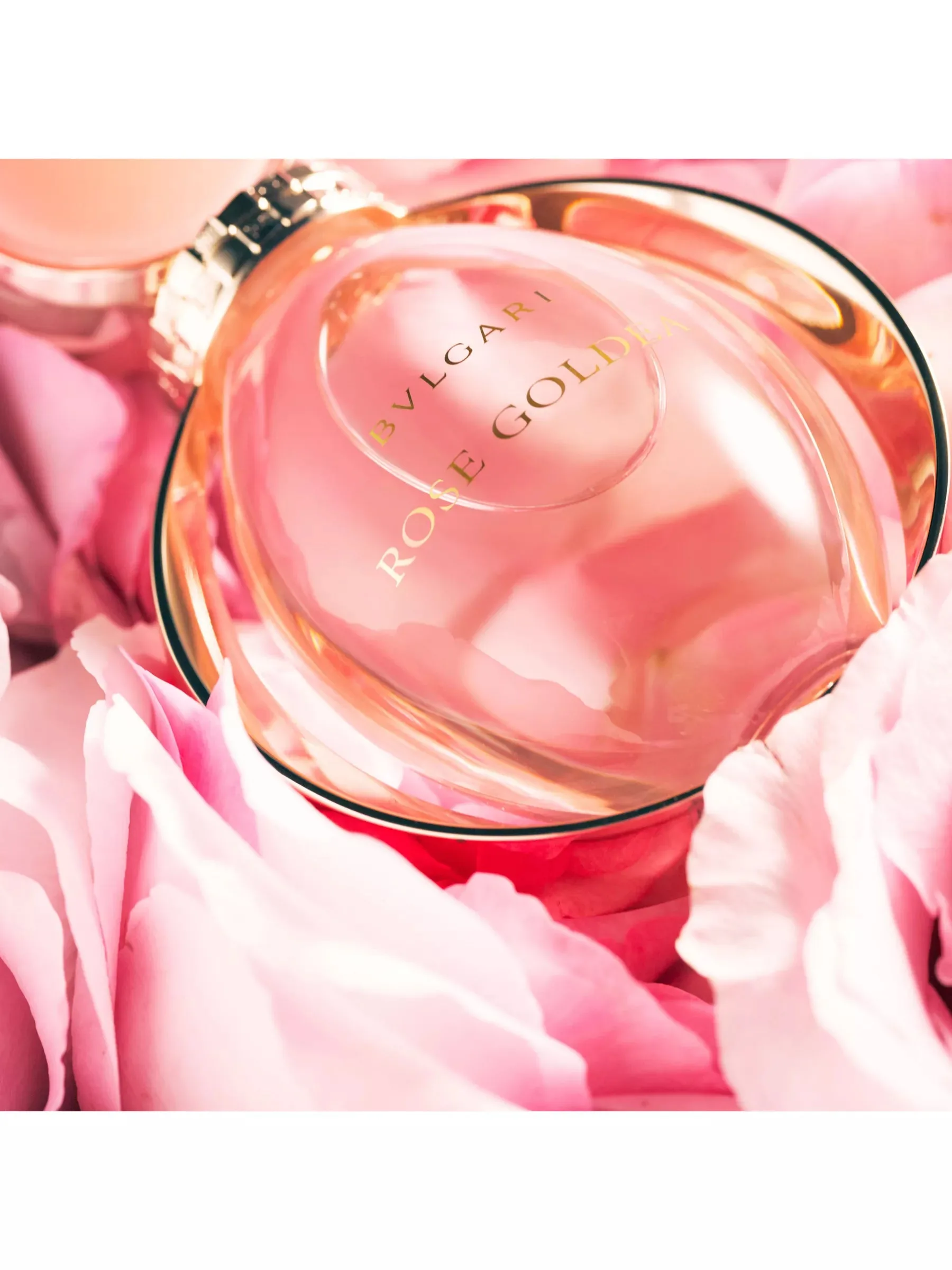 Bvlgari Rose Goldea Eau de Parfum 50ml Magasin - vente & achat en ligne Casablanca Maroc Bvlgari Rose Goldea Eau de Parfum 50ml Magasin - vente & achat en ligne Casablanca Maroc