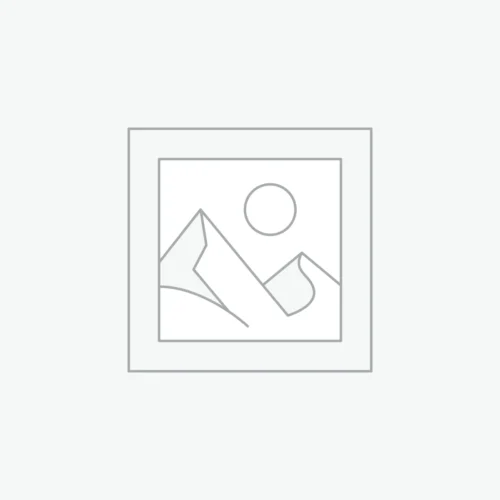 Écouteurs Sans Fil Cellular 23 TWS DS80